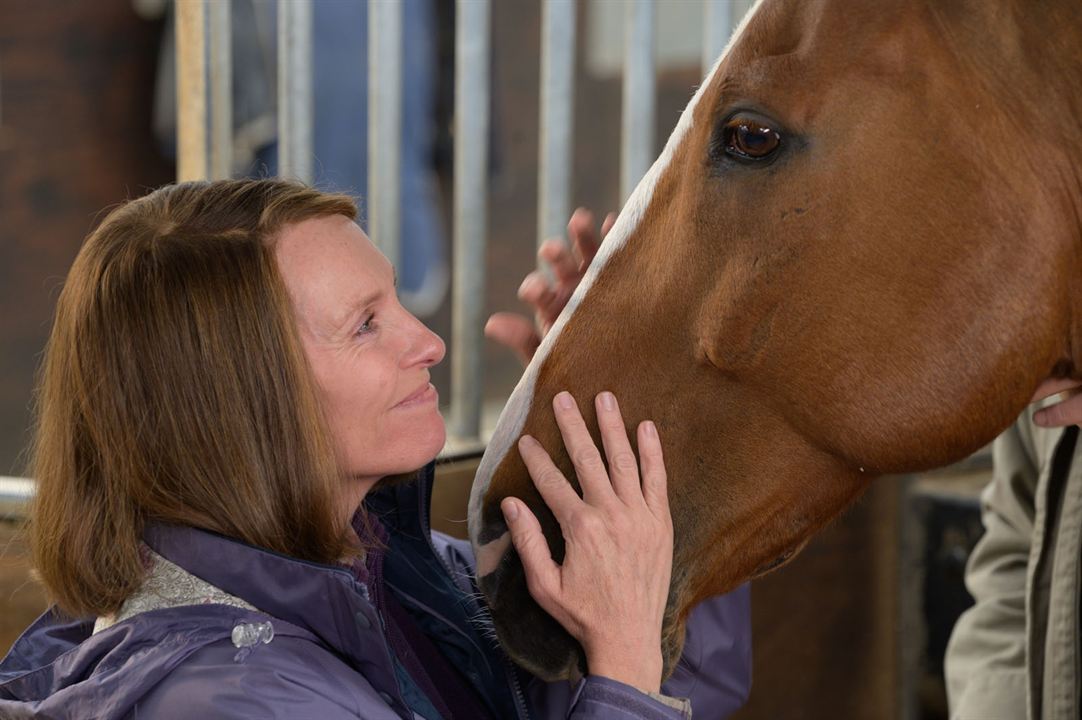O Cavalo dos Meus Sonhos : Fotos Toni Collette