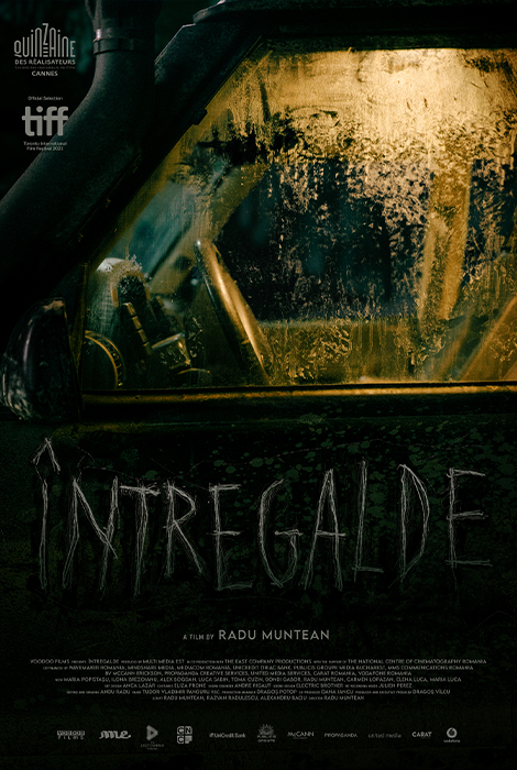 Întregalde : Poster