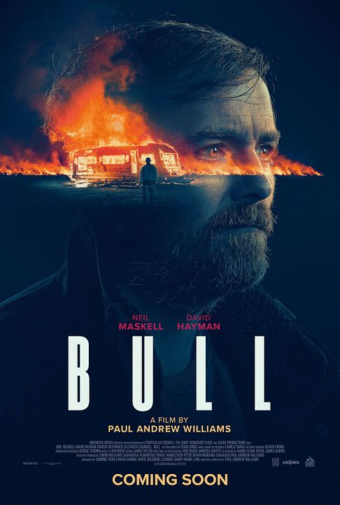 Bull : Poster