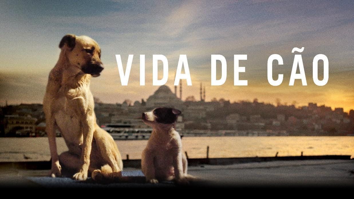 Vida de Cão : Poster