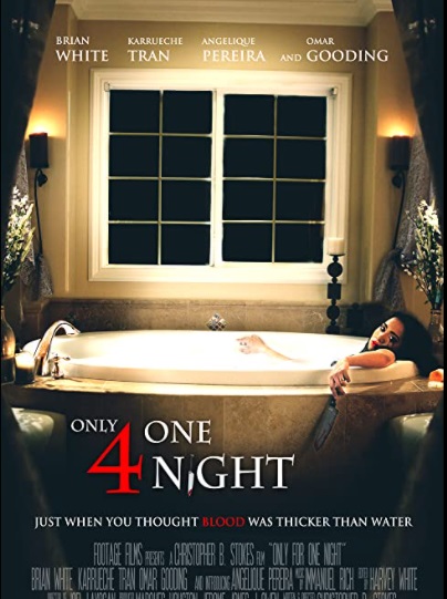 Apenas Por Uma Noite : Poster