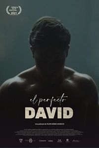 O Perfeito David : Poster