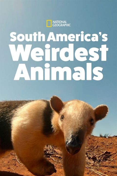 América do Sul: Animais Extraordinários : Poster