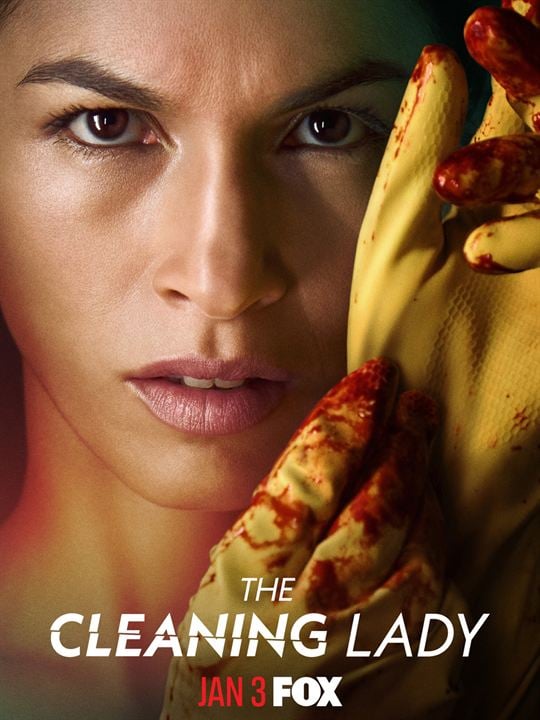 The Cleaning Lady : Poster