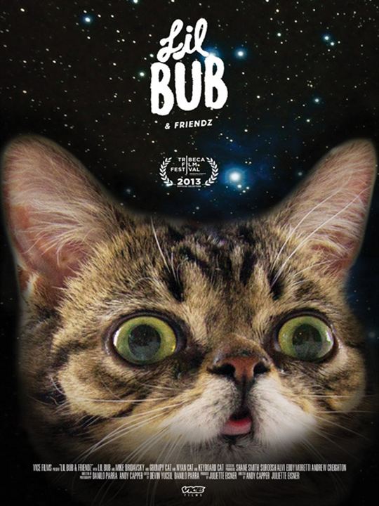 A Gatinha Lil Bub e seus Amiguinhos : Poster