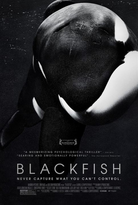 Blackfish - Fúria Animal : Poster