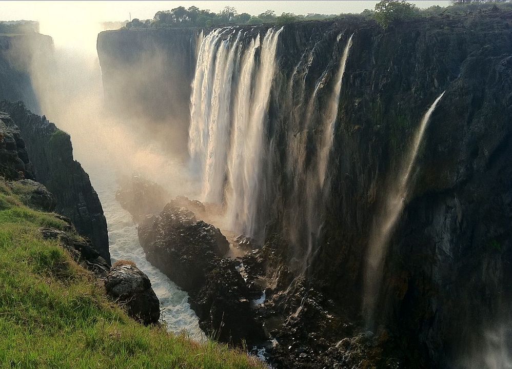Safári na África : Fotos