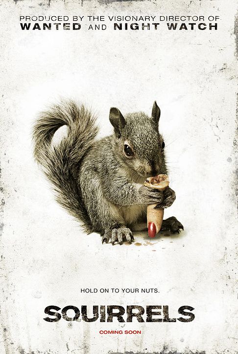 Squirrels : Poster