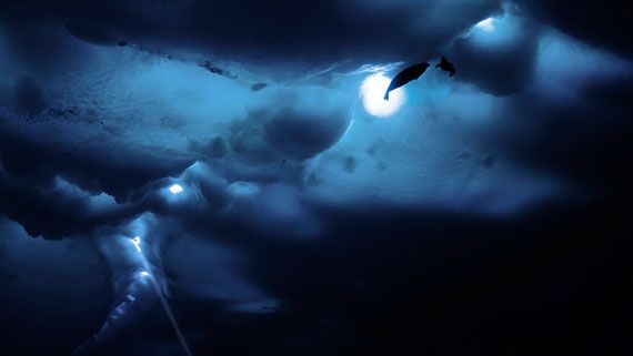 O Último Oceano : Fotos
