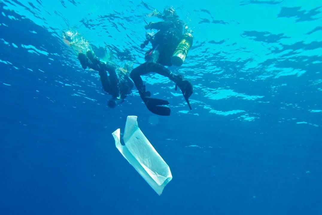 Oceanos de Plástico : Fotos