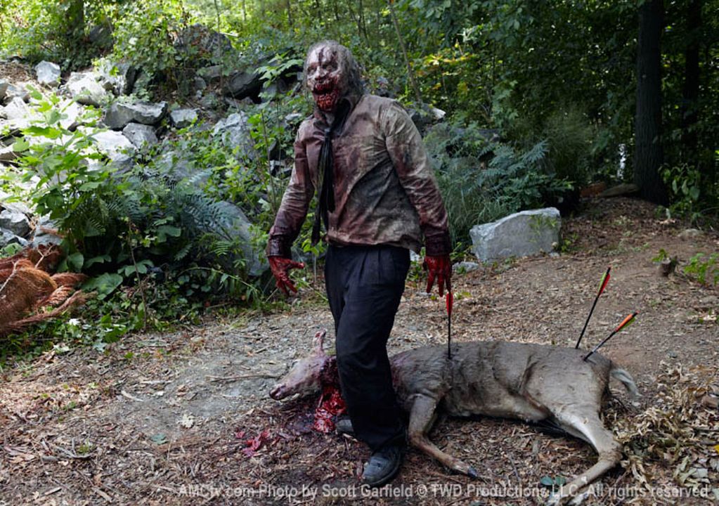 The Walking Dead : Fotos