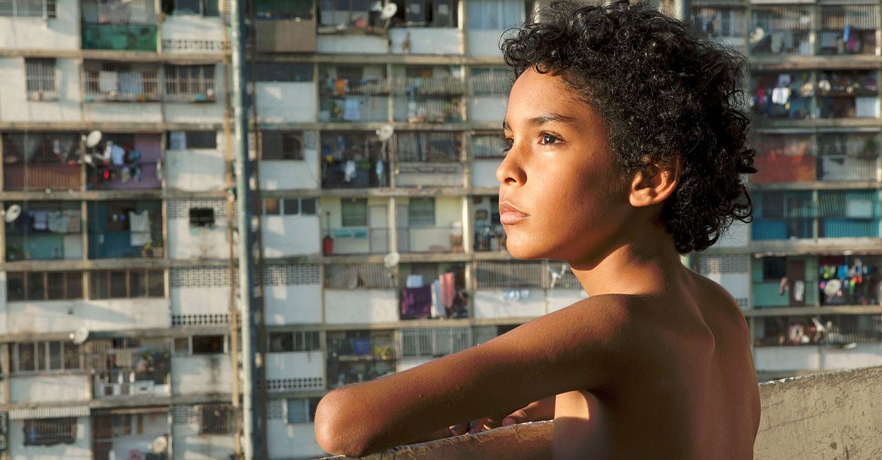 Pelo Malo : Fotos Samuel Lange Zambrano