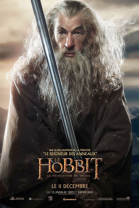 O Hobbit: A Desolação de Smaug : Poster