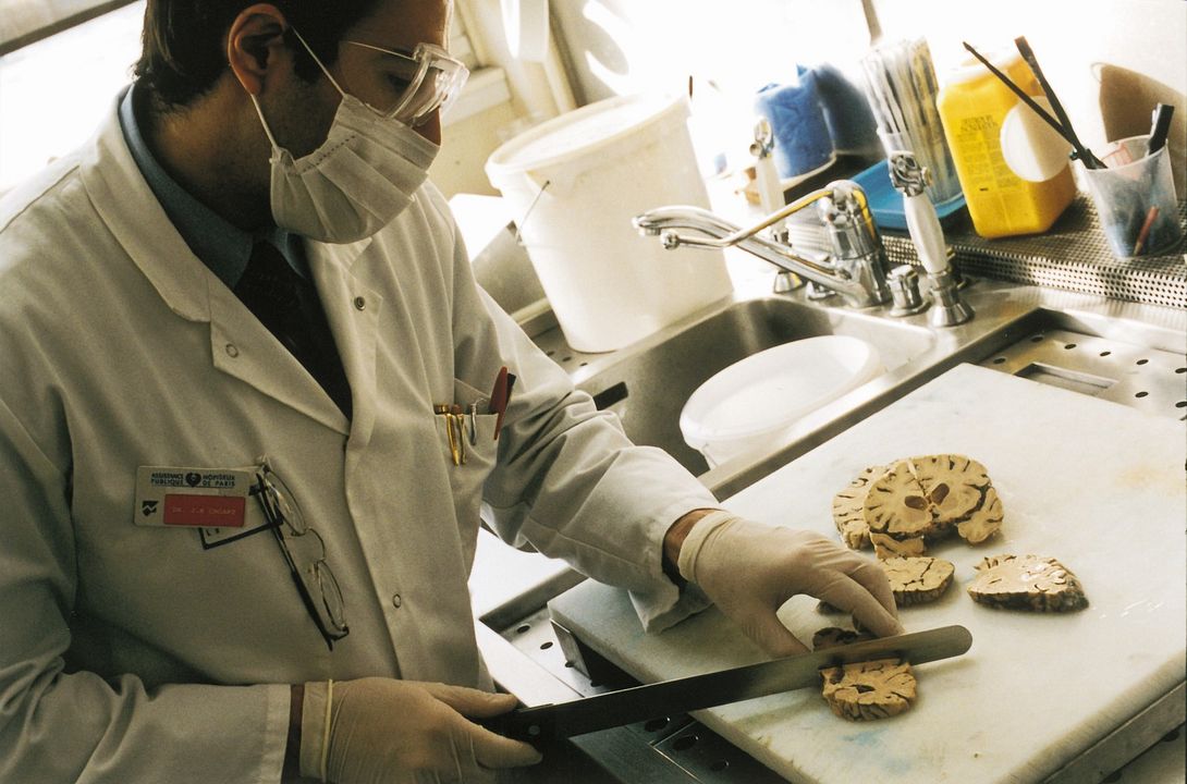 Desejo e Obsessão : Fotos