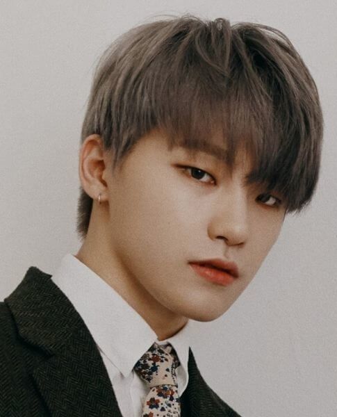 Poster DINO