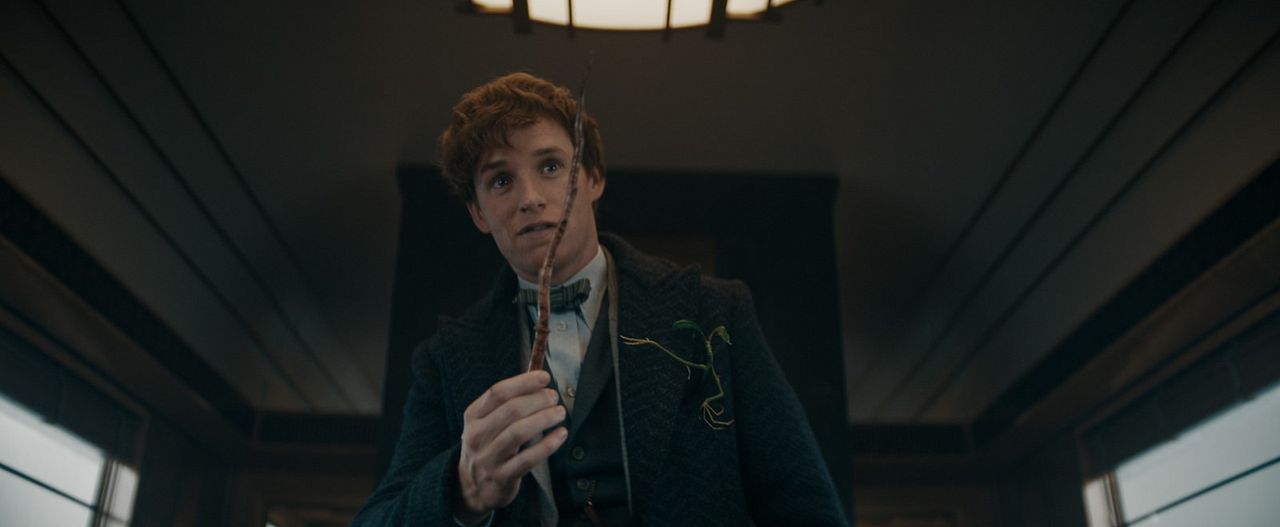 Animais Fantásticos: Os Segredos de Dumbledore : Fotos Eddie Redmayne