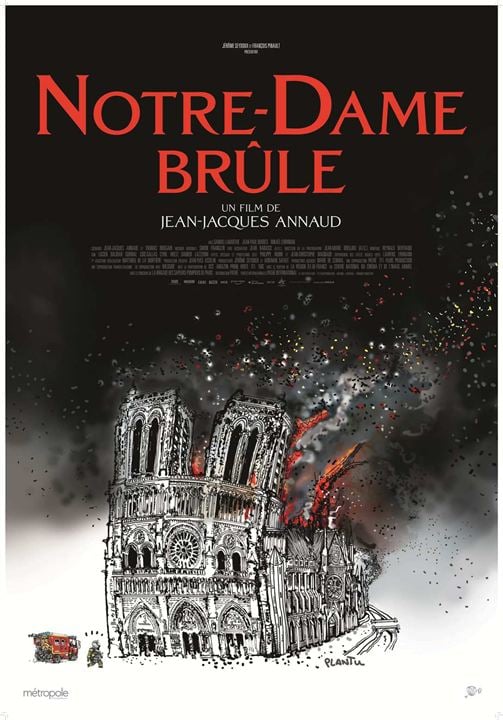 Notre-Dame em Chamas : Poster