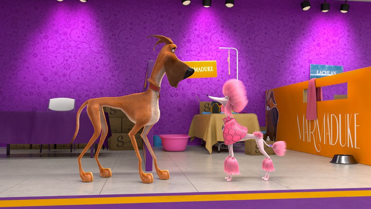 Marmaduke : Fotos