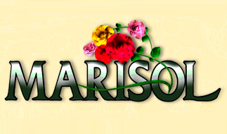 Marisol : Poster