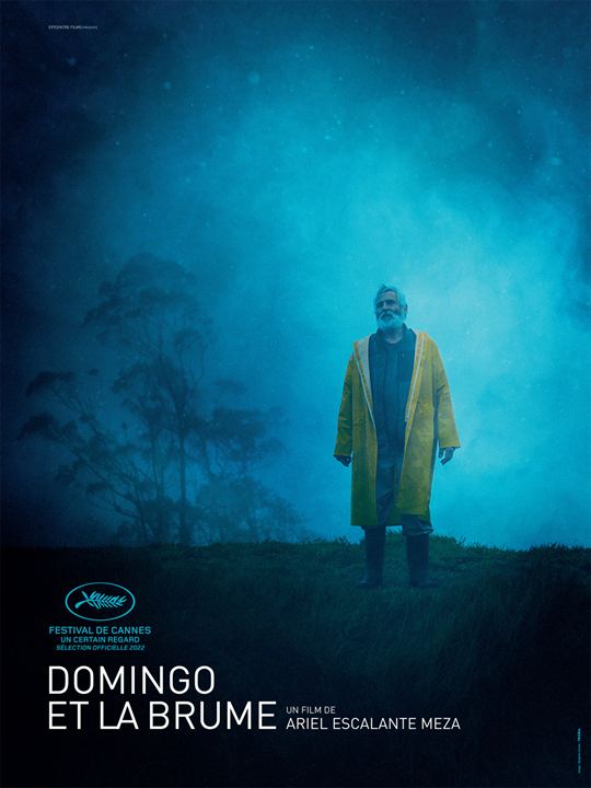Domingo and the Midst : Poster