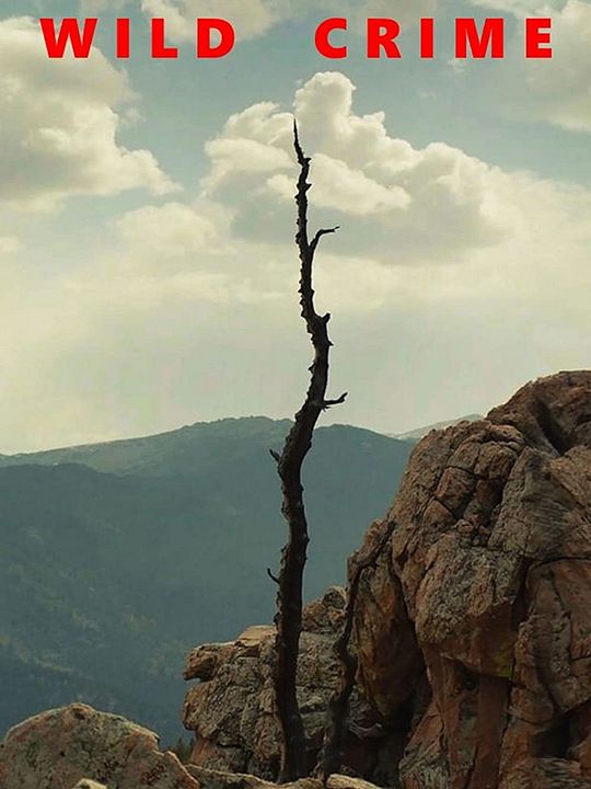 Férias Mortais: O Assassino Selvagem : Poster