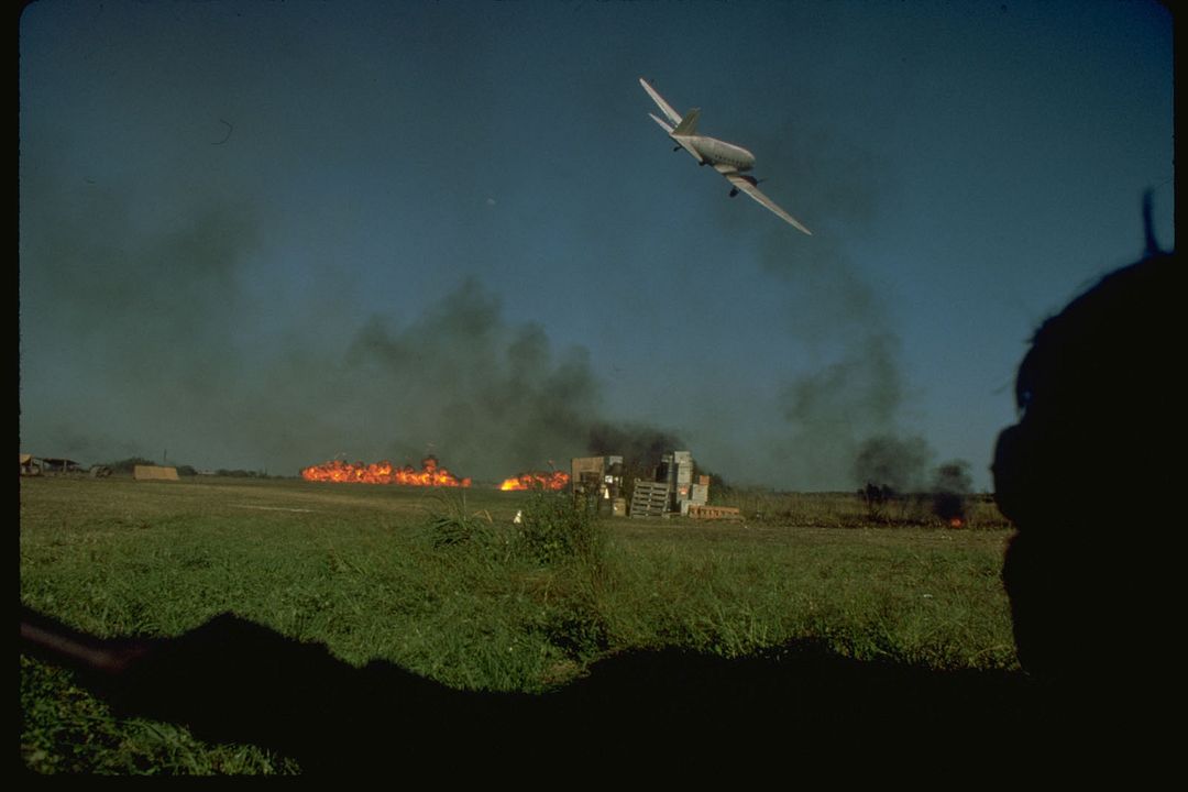 Cães de Guerra : Fotos