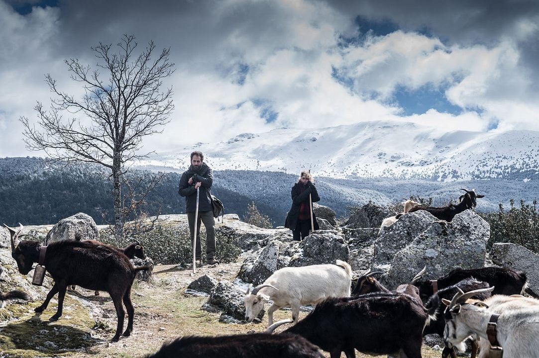 Fotos Jesús Carroza