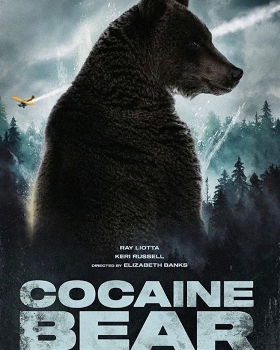 Urso do Pó Branco : Poster