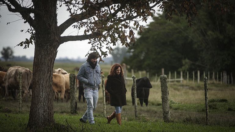 Um Tiro no Escuro : Fotos