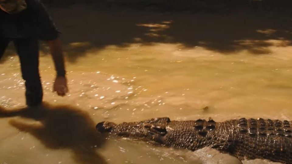 Terra de Crocodilos Terra de Crocodilos Fotos 1 no 12 AdoroCinema Terra de Crocodilos Terra de Crocodilos Fotos 1 no 12 AdoroCinema