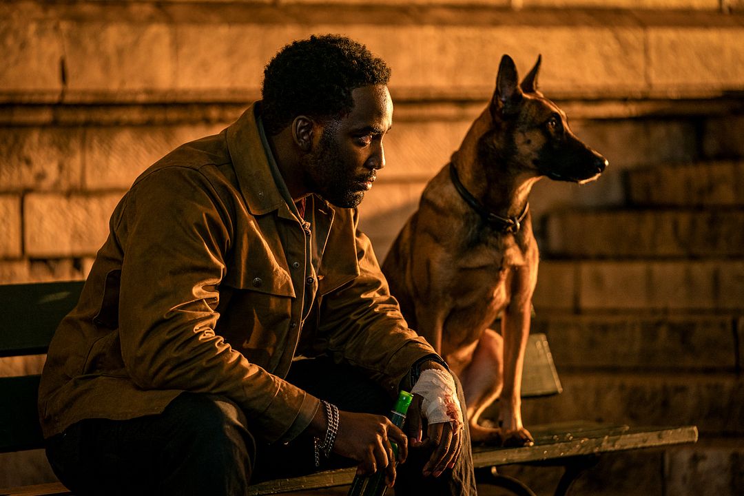 John Wick 4: Baba Yaga : Fotos Shamier Anderson