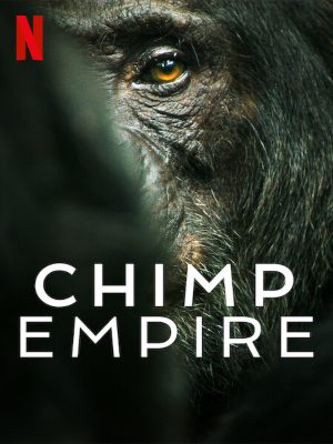 O Império dos Chimpanzés : Poster
