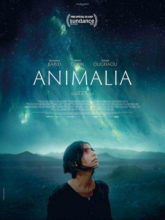 O Animal : Poster