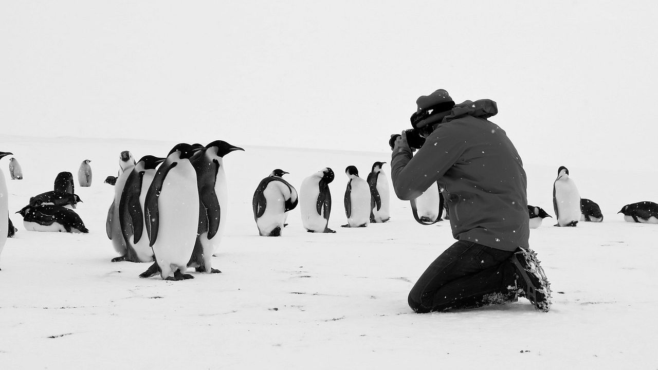 Antártica: Continente Magnético : Fotos