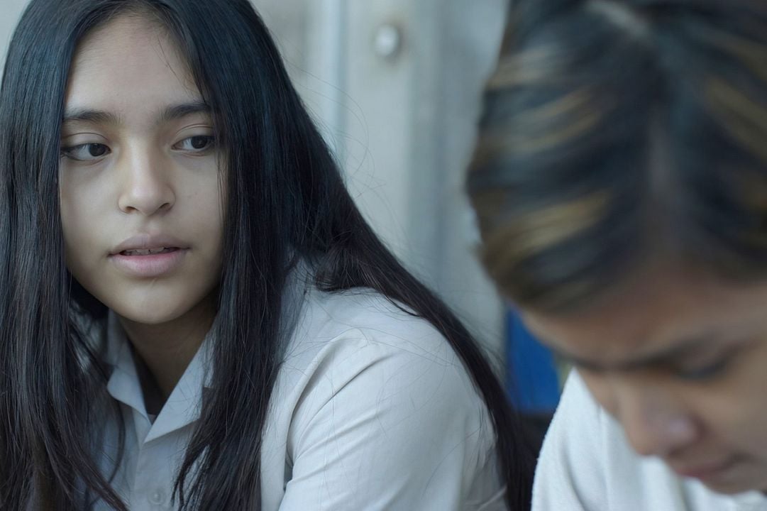 Radical: Ensinamentos de Um Professor  : Fotos