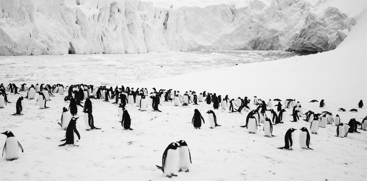 Antártica: Continente Magnético : Fotos