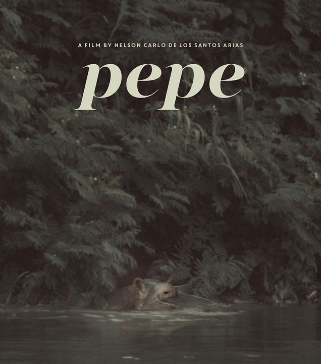 Pepe : Poster