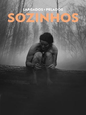 Largados e Pelados: Sozinhos : Poster