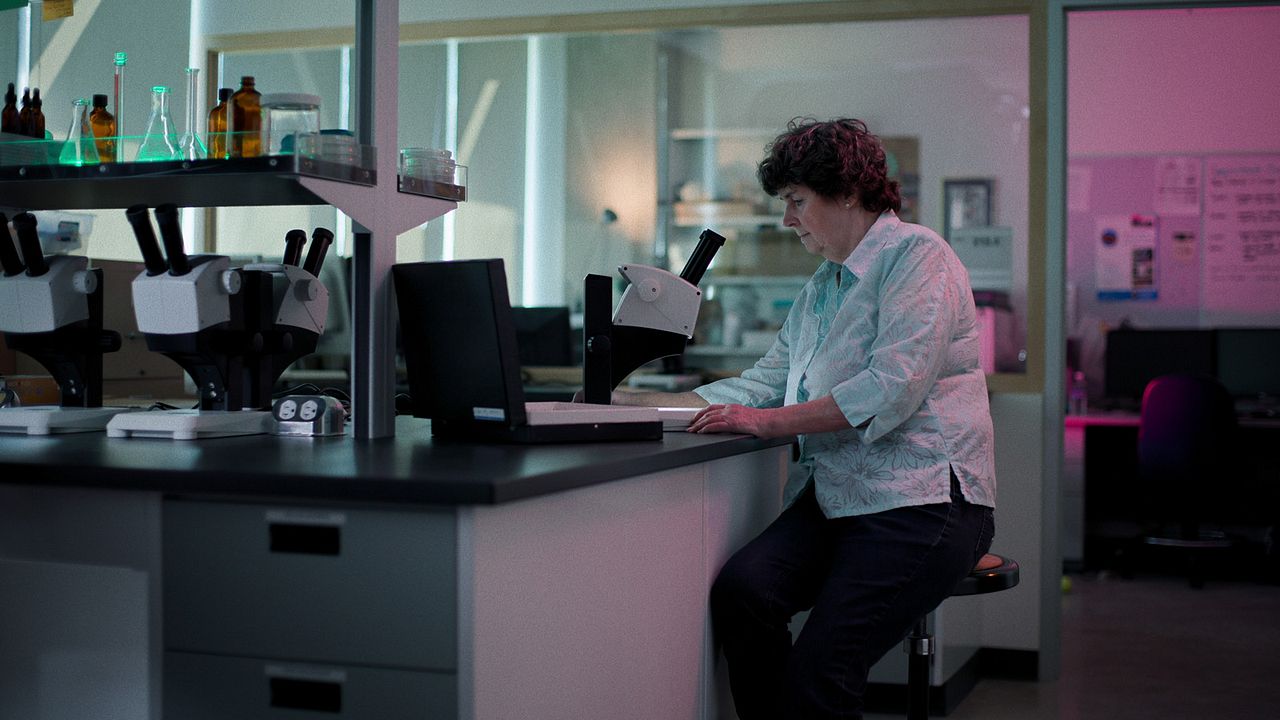 Arquivos do Inexplicável : Fotos