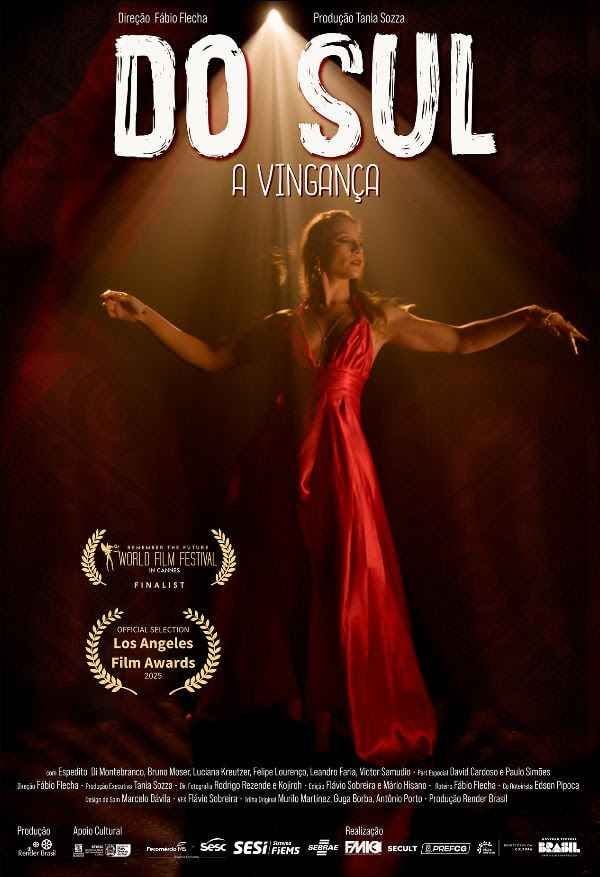 poster filme do sul, a vingança