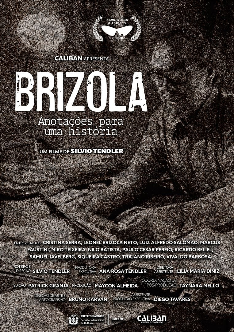 poster filme brizola