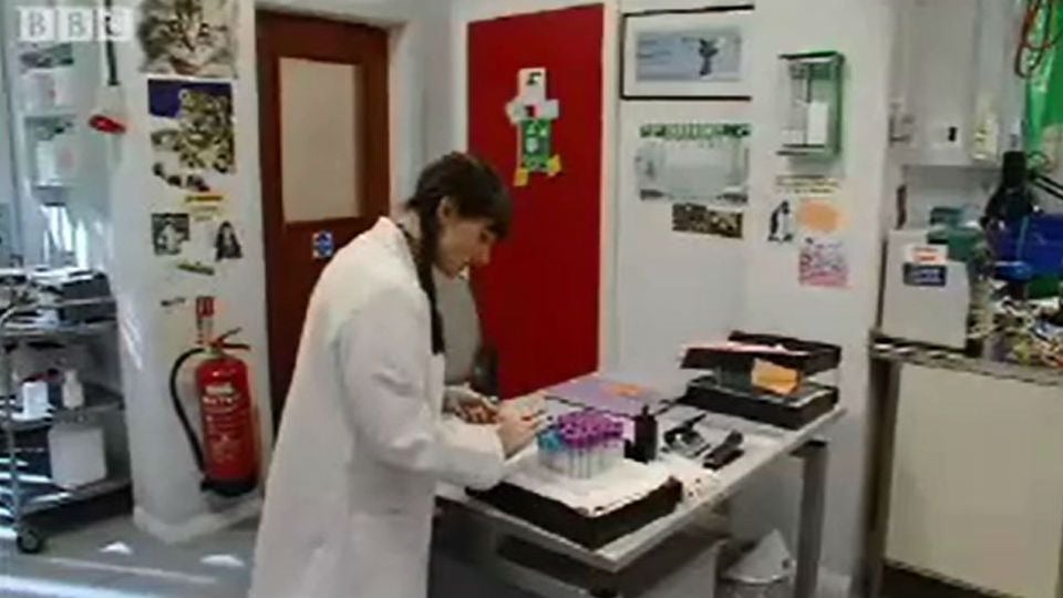 Lab Rats 1ª Temporada Clipe Original - Trailer Lab Rats T01 - AdoroCinema